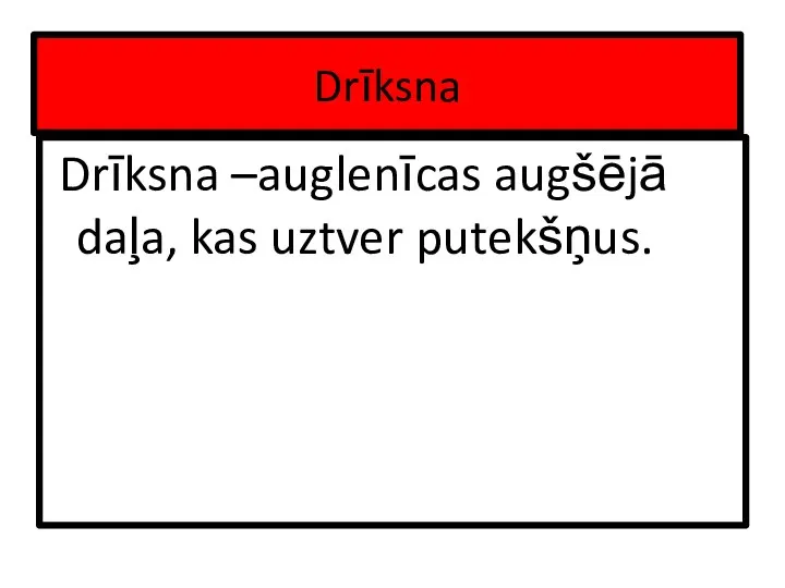 Drīksna Drīksna –auglenīcas augšējā daļa, kas uztver putekšņus.