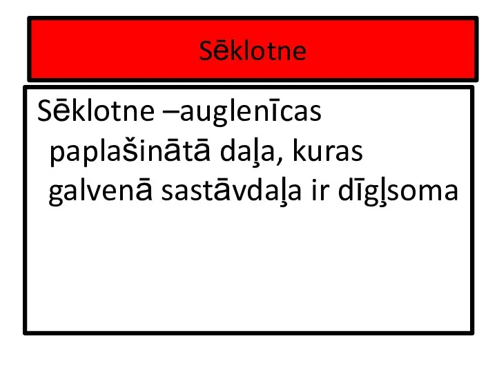 Sēklotne Sēklotne –auglenīcas paplašinātā daļa, kuras galvenā sastāvdaļa ir dīgļsoma