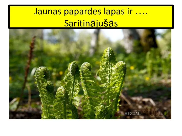 Jaunas papardes lapas ir …. Saritinājušās