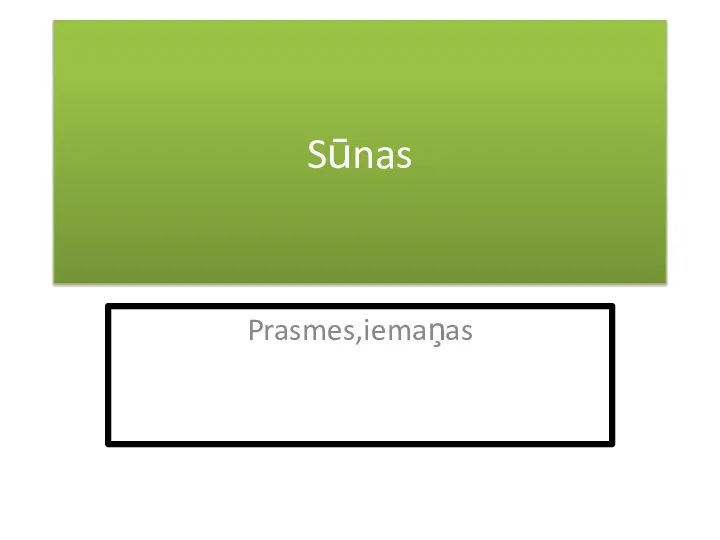 Sūnas Prasmes,iemaņas