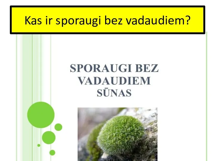 Kas ir sporaugi bez vadaudiem?