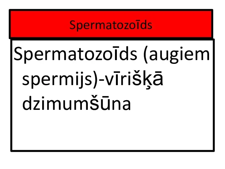 Spermatozoīds Spermatozoīds (augiem spermijs)-vīrišķā dzimumšūna