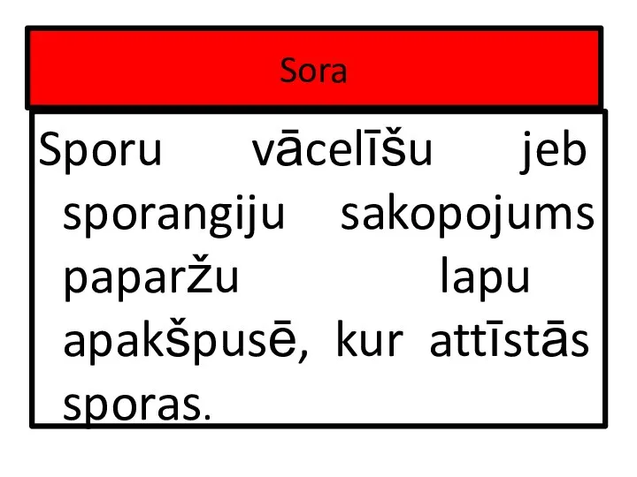 Sora Sporu vācelīšu jeb sporangiju sakopojums paparžu lapu apakšpusē, kur attīstās sporas.