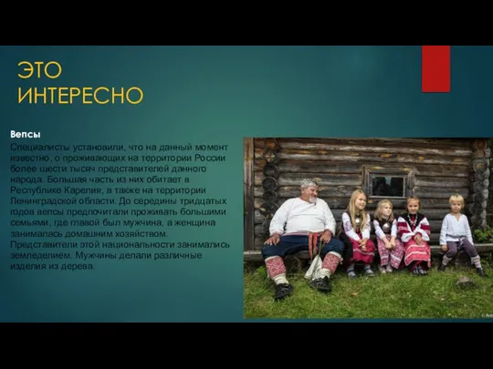 ЭТО ИНТЕРЕСНО Вепсы Специалисты установили, что на данный момент известно, о