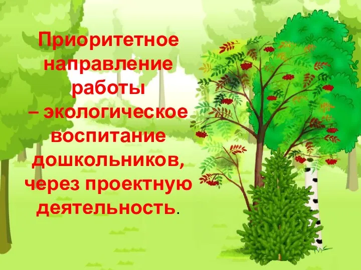 Приоритетное направление работы – экологическое воспитание дошкольников, через проектную деятельность.