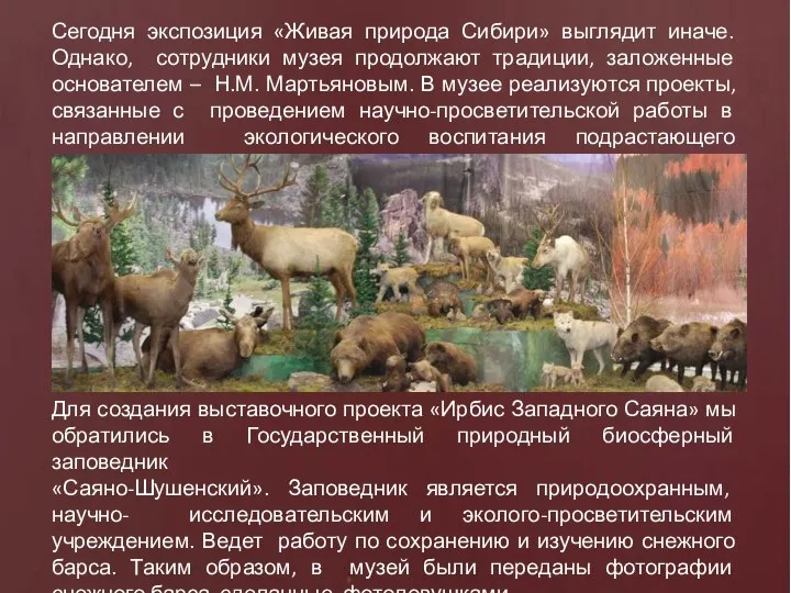 Сегодня экспозиция «Живая природа Сибири» выглядит иначе. Однако, сотрудники музея продолжают
