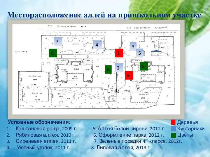 Месторасположение аллей на пришкольном участке Условные обозначения: Каштановая роща, 2009 г.