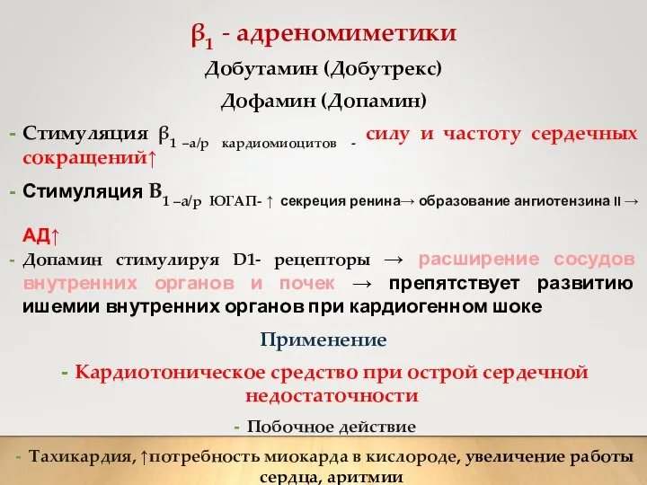 β1 - адреномиметики Добутамин (Добутрекс) Дофамин (Допамин) Стимуляция β1 –а/р кардиомиоцитов