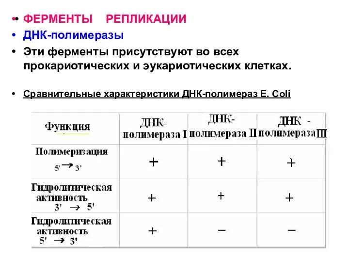 ФЕРМЕНТЫ РЕПЛИКАЦИИ ДНК-полимеразы Эти ферменты присутствуют во всех прокариотических и эукариотических