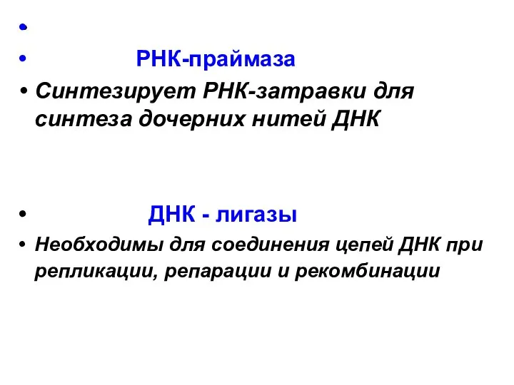 РНК-праймаза Синтезирует РНК-затравки для синтеза дочерних нитей ДНК ДНК - лигазы