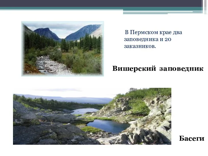 В Пермском крае два заповедника и 20 заказников. Вишерский заповедник Басеги