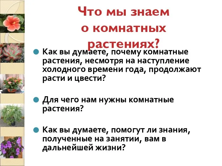 Как вы думаете, почему комнатные растения, несмотря на наступление холодного времени