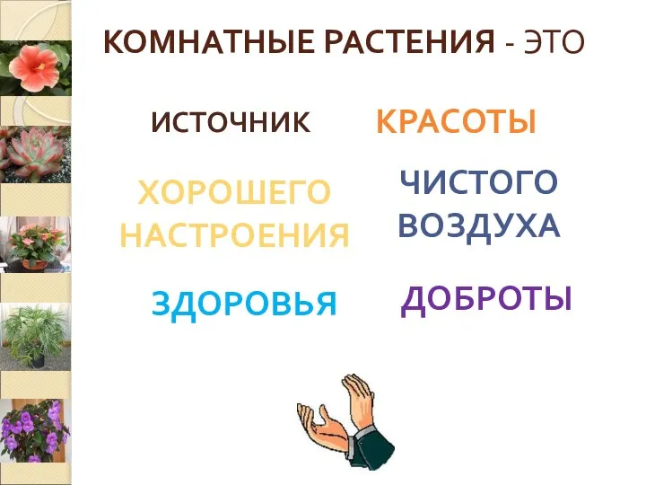 КОМНАТНЫЕ РАСТЕНИЯ - ЭТО ИСТОЧНИК ДОБРОТЫ ЗДОРОВЬЯ ЧИСТОГО ВОЗДУХА ХОРОШЕГО НАСТРОЕНИЯ КРАСОТЫ