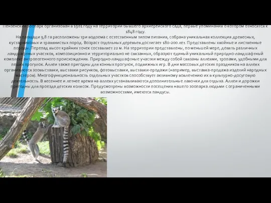 Пензенский зоопарк организован в 1981 году на территории бывшего архиерейского сада,