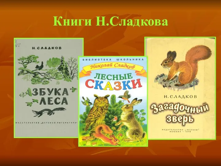 Книги Н.Сладкова