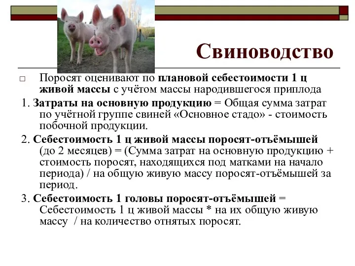 Свиноводство Поросят оценивают по плановой себестоимости 1 ц живой массы с