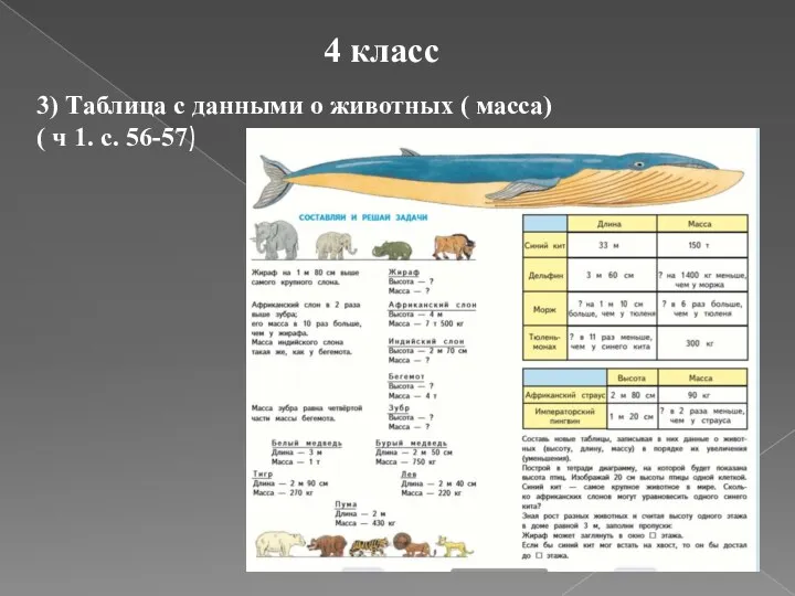 4 класс 3) Таблица с данными о животных ( масса) ( ч 1. с. 56-57)