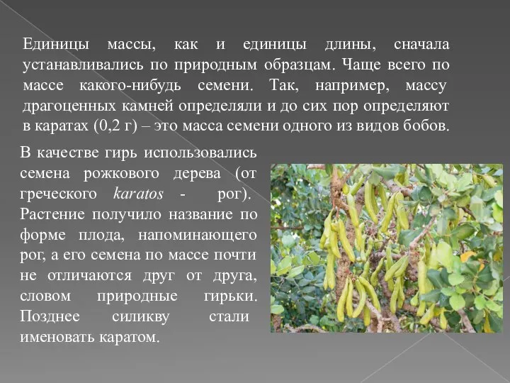 Единицы массы, как и единицы длины, сначала устанавливались по природным образцам.