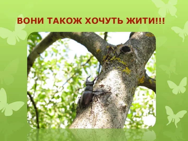 ВОНИ ТАКОЖ ХОЧУТЬ ЖИТИ!!!