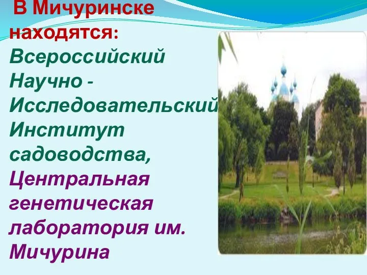 В Мичуринске находятся: Всероссийский Научно - Исследовательский Институт садоводства, Центральная генетическая лаборатория им. Мичурина