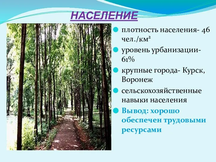 НАСЕЛЕНИЕ плотность населения- 46 чел./км2 уровень урбанизации- 61% крупные города- Курск,