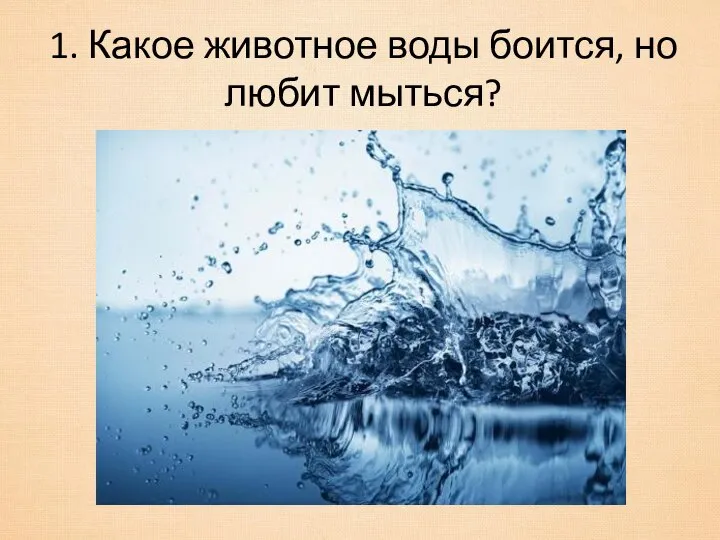 1. Какое животное воды боится, но любит мыться?