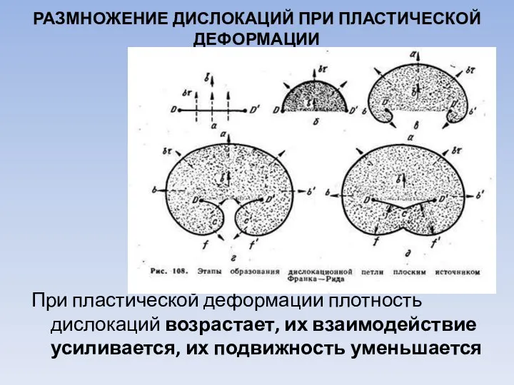 РАЗМНОЖЕНИЕ ДИСЛОКАЦИЙ ПРИ ПЛАСТИЧЕСКОЙ ДЕФОРМАЦИИ При пластической деформации плотность дислокаций возрастает,