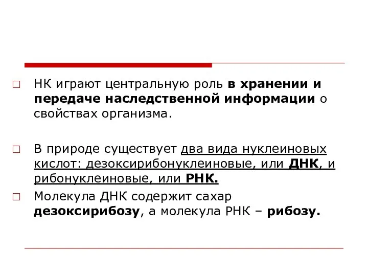 НК играют центральную роль в хранении и передаче наследственной информации о