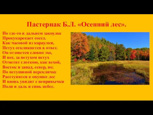 Пастернак Б.Л. «Осенний лес». Но где-то в дальнем закоулке Прокукарекает сосед.