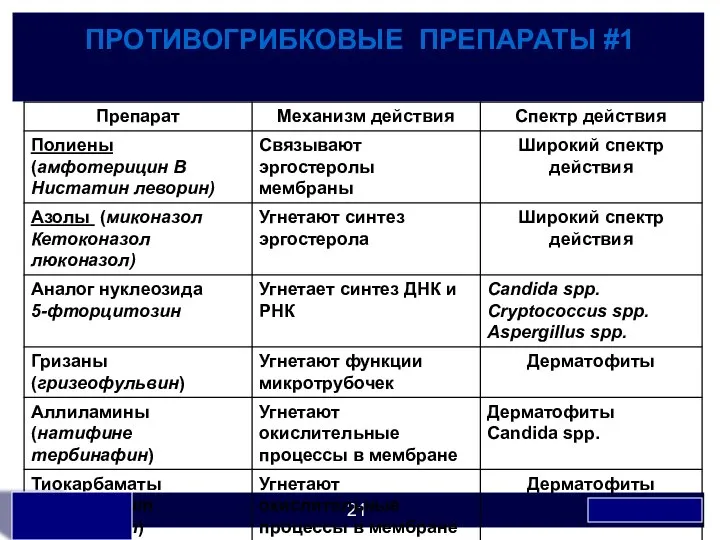 ПРОТИВОГРИБКОВЫЕ ПРЕПАРАТЫ #1