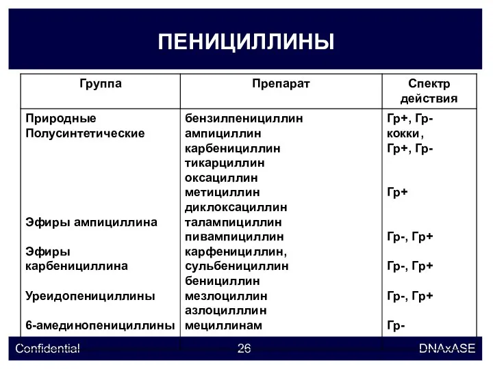 ПЕНИЦИЛЛИНЫ