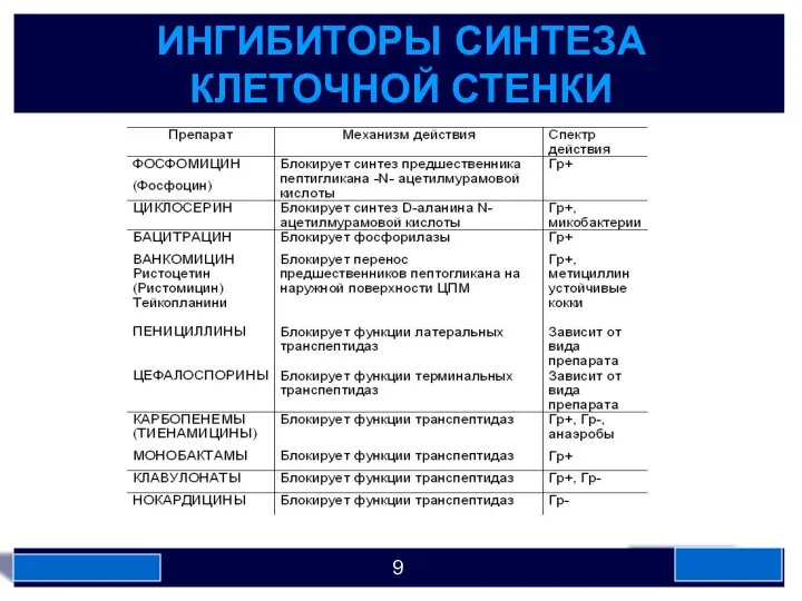 ИНГИБИТОРЫ СИНТЕЗА КЛЕТОЧНОЙ СТЕНКИ