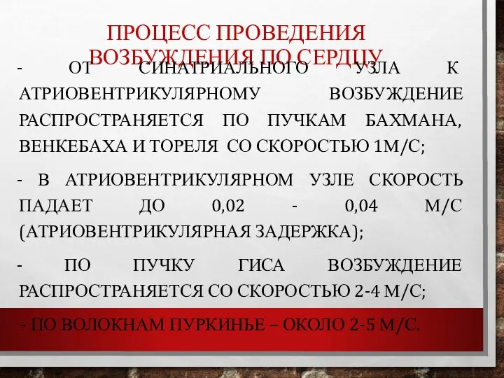 ПРОЦЕСС ПРОВЕДЕНИЯ ВОЗБУЖДЕНИЯ ПО СЕРДЦУ - ОТ СИНАТРИАЛЬНОГО УЗЛА К АТРИОВЕНТРИКУЛЯРНОМУ