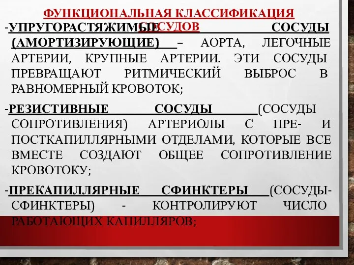 ФУНКЦИОНАЛЬНАЯ КЛАССИФИКАЦИЯ СОСУДОВ -УПРУГОРАСТЯЖИМЫЕ СОСУДЫ (АМОРТИЗИРУЮЩИЕ) – АОРТА, ЛЕГОЧНЫЕ АРТЕРИИ, КРУПНЫЕ