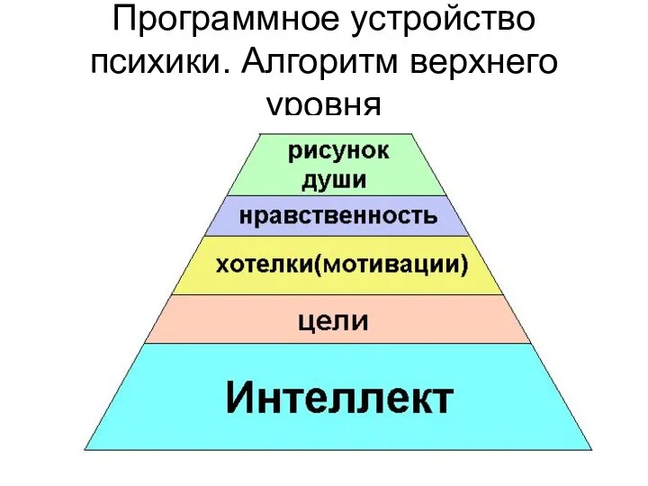 Программное устройство психики. Алгоритм верхнего уровня