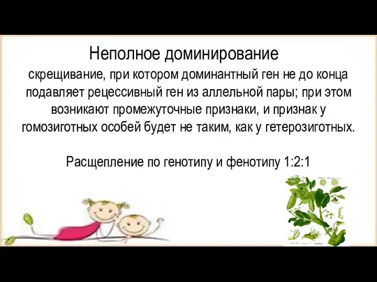 Неполное доминирование скрещивание, при котором доминантный ген не до конца подавляет