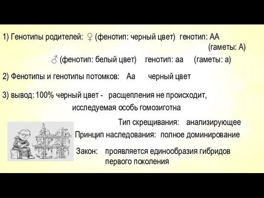 1) Генотипы родителей: ♀ (фенотип: черный цвет) генотип: АА (гаметы: А)