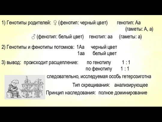 1) Генотипы родителей: ♀ (фенотип: черный цвет) генотип: Аа (гаметы: А,