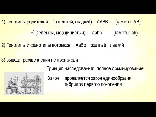 1) Генотипы родителей: ♀ (желтый, гладкий) ААBB (гаметы: АB) ♂ (зеленый,