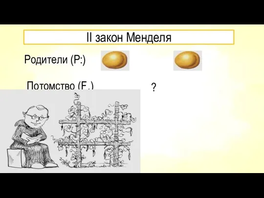 II закон Менделя Родители (Р:) Потомство (F1) ?