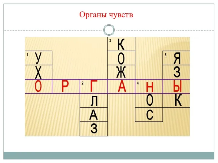 Органы чувств