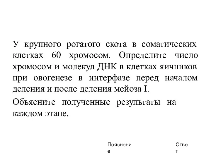 У крупного рогатого скота в соматических клетках 60 хромосом. Определите число