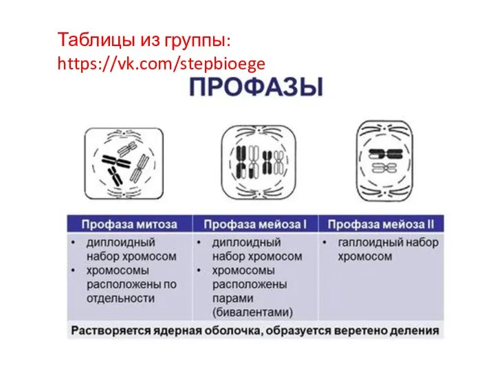 Таблицы из группы: https://vk.com/stepbioege