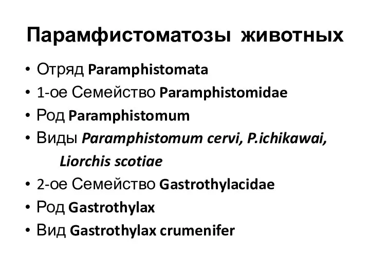 Парамфистоматозы животных Отряд Paramphistomata 1-ое Семейство Paramphistomidae Род Paramphistomum Виды Paramphistomum