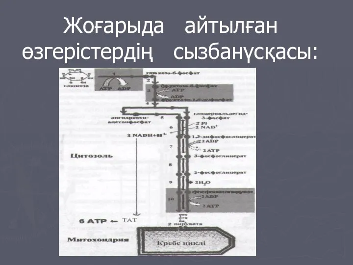 Жоғарыда айтылған өзгерістердің сызбанүсқасы: