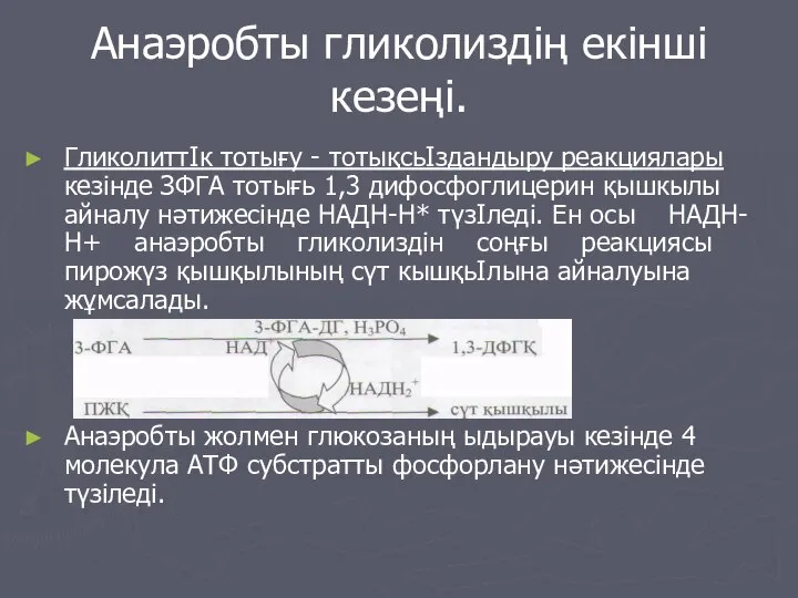 Анаэробты гликолиздің екінші кезеңі. ГликолиттІк тотығу - тотықсьІздандыру реакциялары кезінде ЗФГА