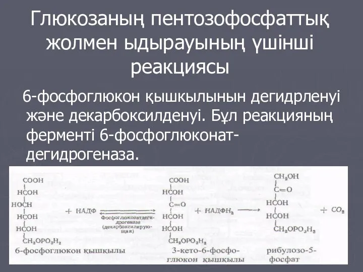 Глюкозаның пентозофосфаттық жолмен ыдырауының үшінші реакциясы 6-фосфоглюкон қышкылынын дегидрленуі және декарбоксилденуі. Бұл реакцияның ферменті 6-фосфоглюконат-дегидрогеназа.