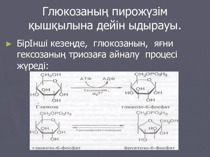 Глюкозаның пирожүзім қышқылына дейін ыдырауы. БірІнші кезеңде, глюкозанын, яғни гексозаның триозаға айналу процесі жүреді: