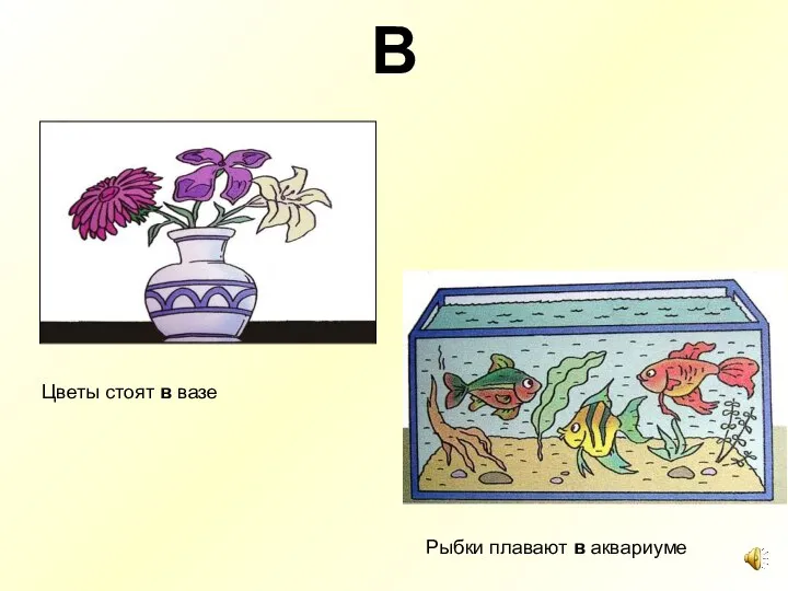 В Цветы стоят в вазе Рыбки плавают в аквариуме