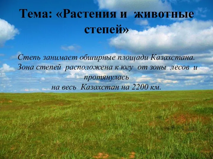 Тема: «Растения и животные степей» Степь занимает обширные площади Казахстана. Зона